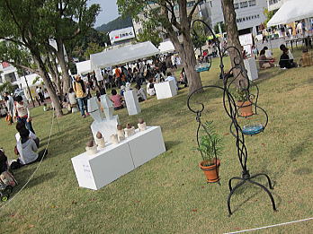 yac10.jpg