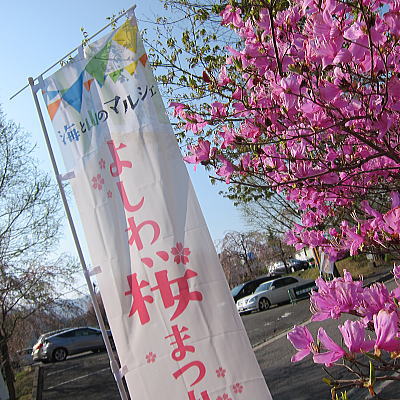 yosiwa07.jpg
